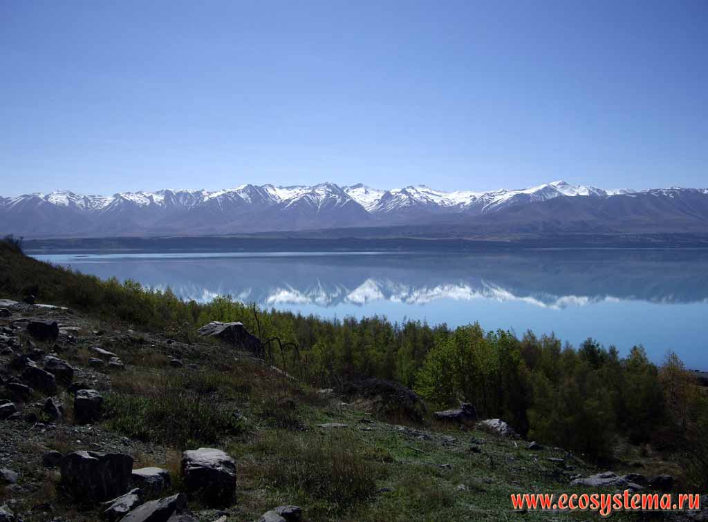 Lake Pukaki - the typical mountain (alpine) oligotrophic (with low nutrient level) glacial lake.
480 meters above sea level. Southern (New Zealand) Alps.
Canterbury region, South Island, New Zealand