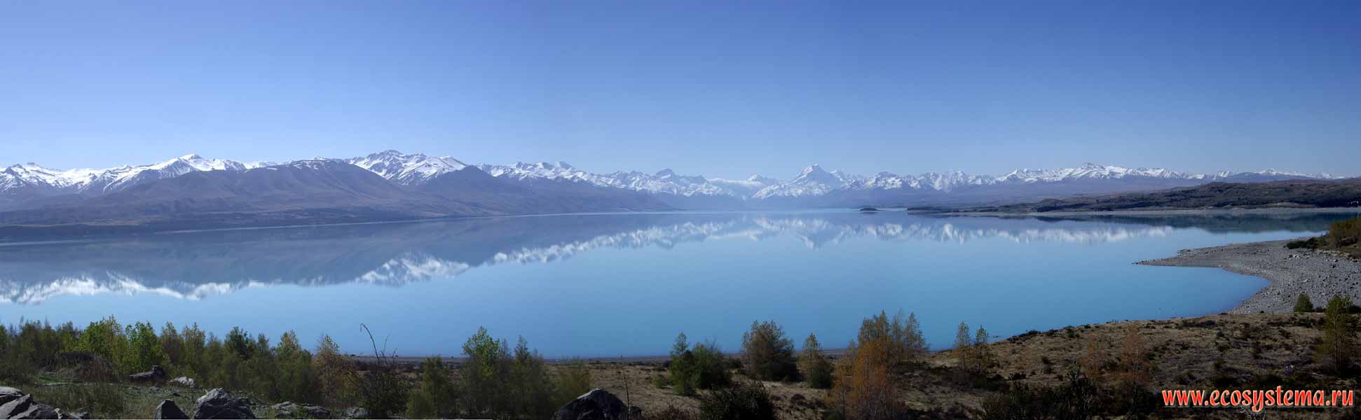 Panorama of the Lake Pukaki - the typical mountain (alpine) oligotrophic
(with low nutrient level) glacial lake. 480 meters above sea level.
Southern (New Zealand) Alps. Mount Cook (the highest peak in New Zealand)
is far away in the middle (3764 m height). Canterbury region, South Island, New Zealand