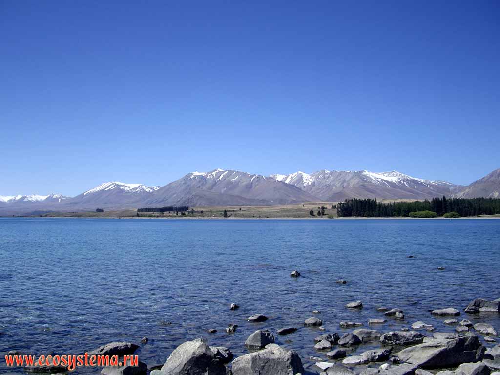 Lake Tekapo - the typical mountain (alpine) oligotrophic (with low nutrient level) glacial lake.
700 meters above sea level. Southern (New Zealand) Alps.
Canterbury region, South Island, New Zealand