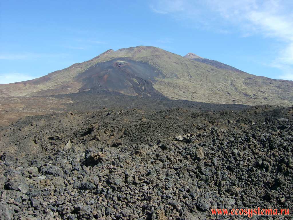 Боковой кратер вулкана Вьехо (3134 м). Черная лава на склоне вулкана и на
переднем плане — результат извержения 1709 года.
Высота места съемки — 2500 м над уровнем моря 