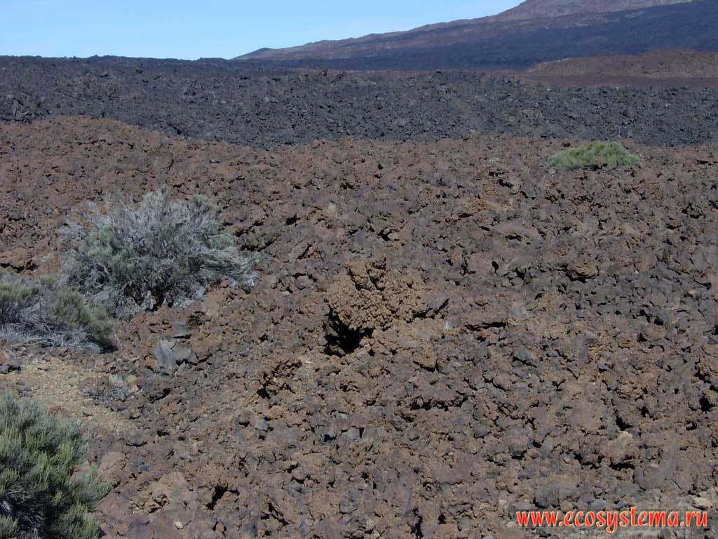 Lava and scoria sediments on the foot of Pico Viejo volcano (3134 meters height). The lava age is 2000 years (red colour) and 300 years (black colour).
Shooting point is at 2500 meters above sea level. Tenerife Island, Canary Archipelago