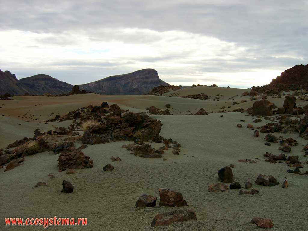 Лавовые поля 2000-летней давности на дне кальдеры Каньядас у подножия
вулкана Тейде. Высота 2500 м над уровнем моря
