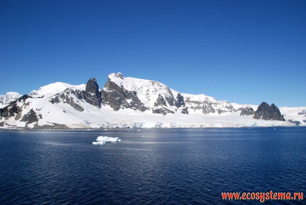 The Cuverville Island and small shelf ice near the bank.
South Shetland Islands, Weddell Sea, Antarctic peninsula, West Antarctic