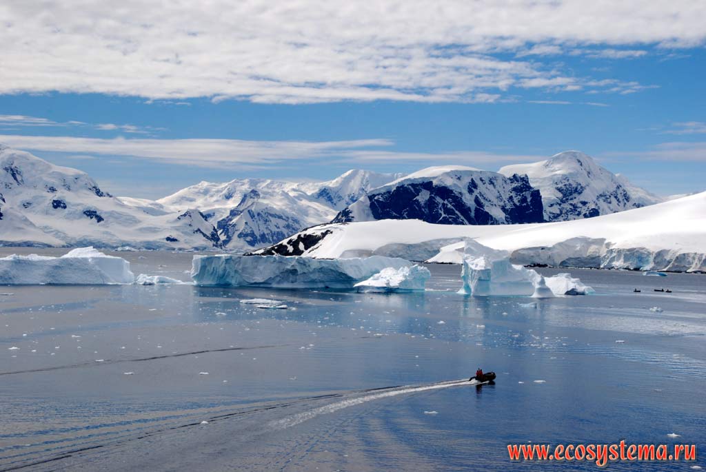 Антарктический полуостров и материковый ледник на его берегах.
Айсберги - обломки материковых и шельфовых ледников.
Западная Антарктика, море Уэделла, бухта Парадиз