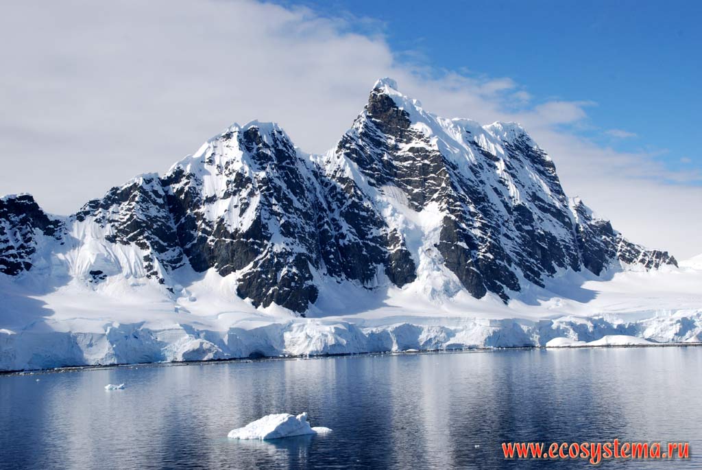 Обрушающаяся кромка материкового ледника - зона абляции ледника.
Между Антарктическим полуостровом и Южными Шетландскими островами.
Западная Антарктика, море Уэделла