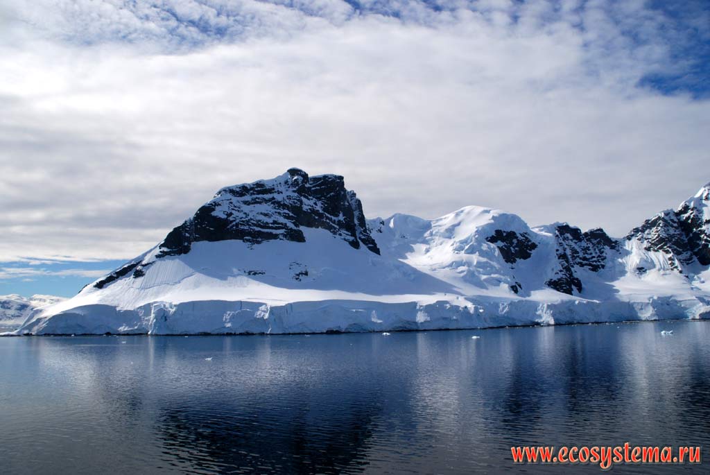 The ablation zone (zone of ice melting and destruction) of the land ice.
Small island between Antarctic peninsula and South Shetland Islands. Weddell Sea, West Antarctic