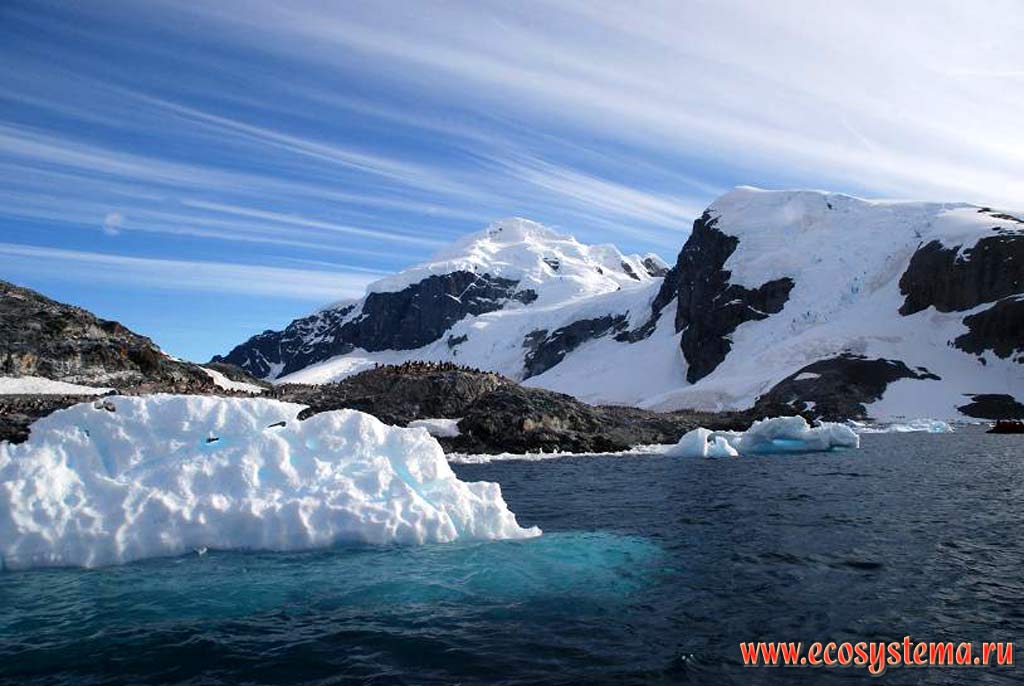 Melting iceberg near the Cuverville Island. South Shetland Islands, Weddell Sea, Antarctic peninsula, West Antarctic