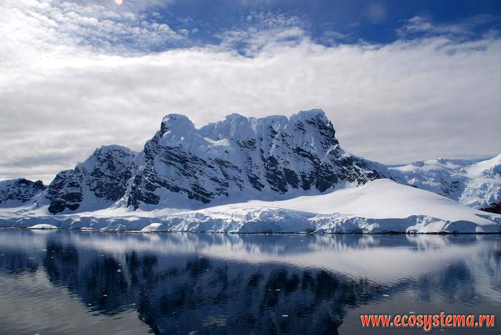 Материковый ледник на берегах острова между Антарктическим полуостровом
и Южными Шетландскими островами.
Западная Антарктика, море Уэделла