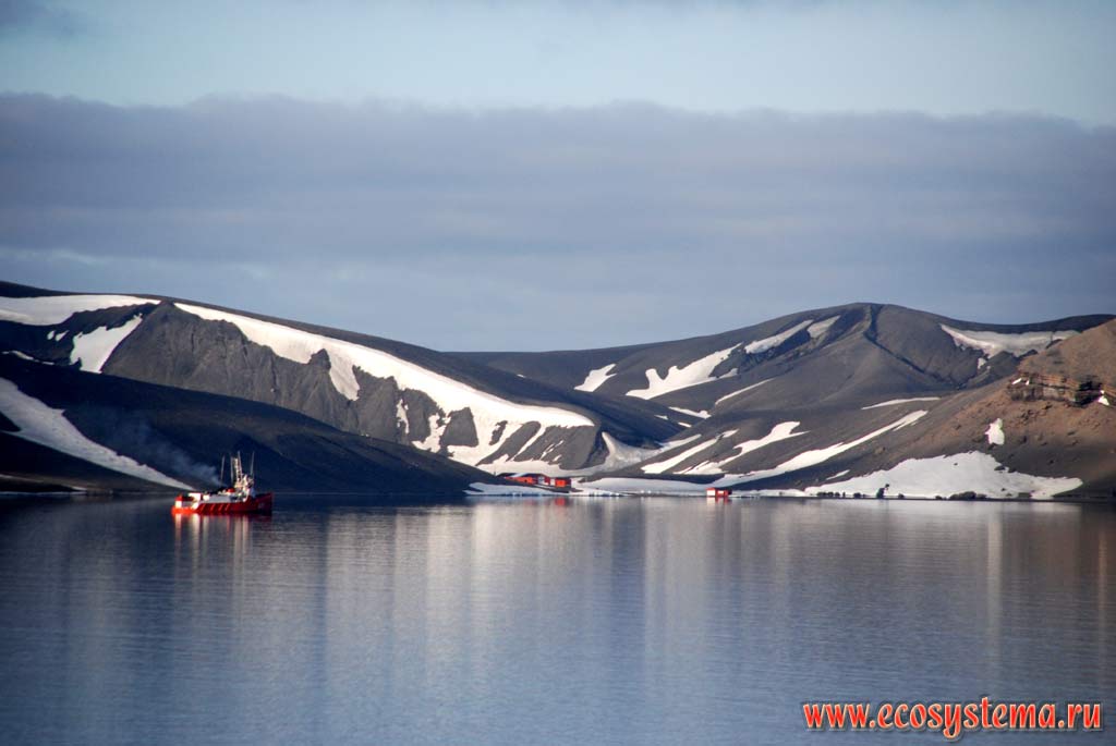 Аргентинская антарктическая станция на острове Десепшн,
Южные Шетландские острова, море Скотта, Западная Антарктика