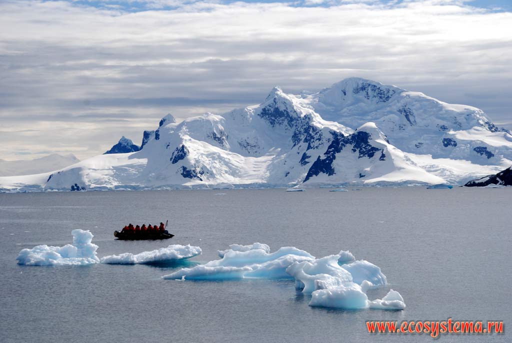 Small floating icebergs in the Paradise Bay. Weddell Sea, West Antarctic