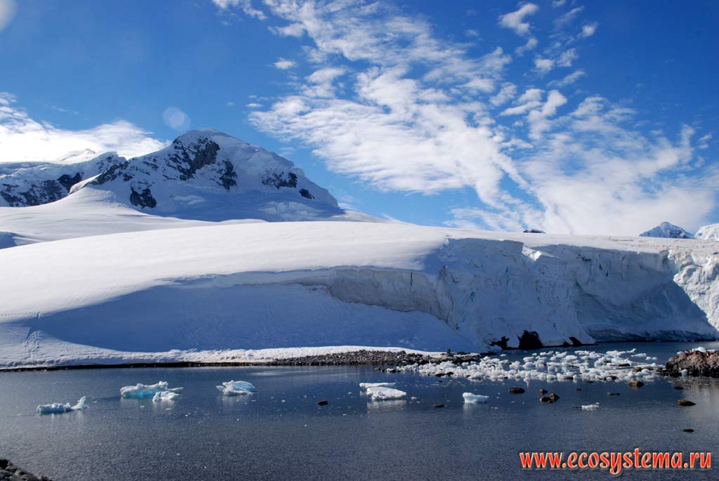 Обрушающаяся кромка материкового ледника - зона абляции ледника.
Антарктический полуостров, море Уэделла, бухта Парадиз