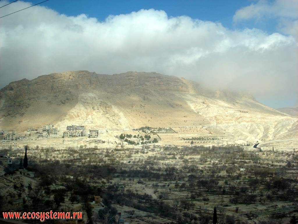 Известняковые горы и антропогенный ландшафт в отрогах хребта Антиливан.
Азиатское Средиземноморье, или Левант, недалеко от Дамаска, Западная Сирия