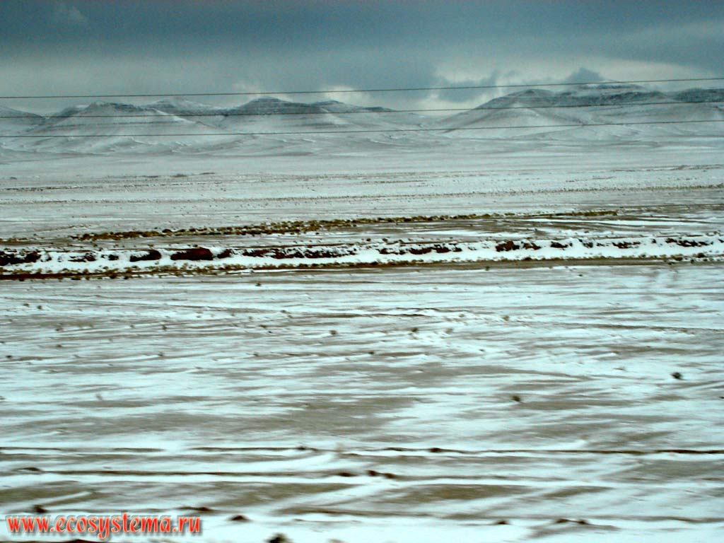 Сирийская пустыня зимой после снегопада. Вдали - горы Тадмор (высота хребта около 1100-1300 м н.у.м.).
Азиатское Средиземноморье, или Левант, Центральная Сирия