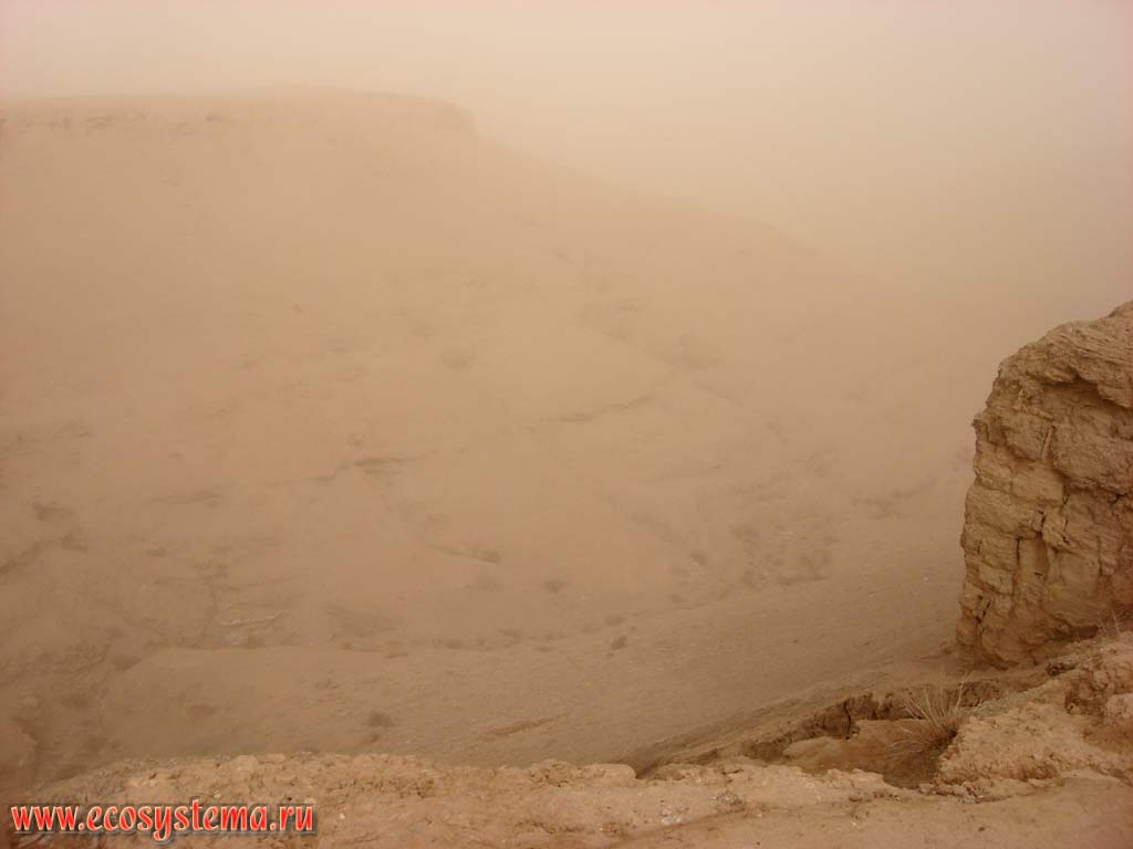 Песчаная, или пыльная буря в Сирийской пустыне. Сирия на границе с Ираком. Данная местность находится на границе двух субконтинентов
(Средиземноморья и Юго-Восточной Азии) и двух физико-географических стран: Азиатского Средиземноморья и Аравийского полуострова
