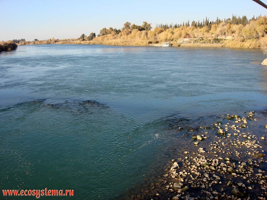 Река Евфрат в среднем течении (район Дайр-Эз-Заур, или Дейр-ез-Зор). Северо-западная, или Верхняя Месопотамия, Восточная Сирия