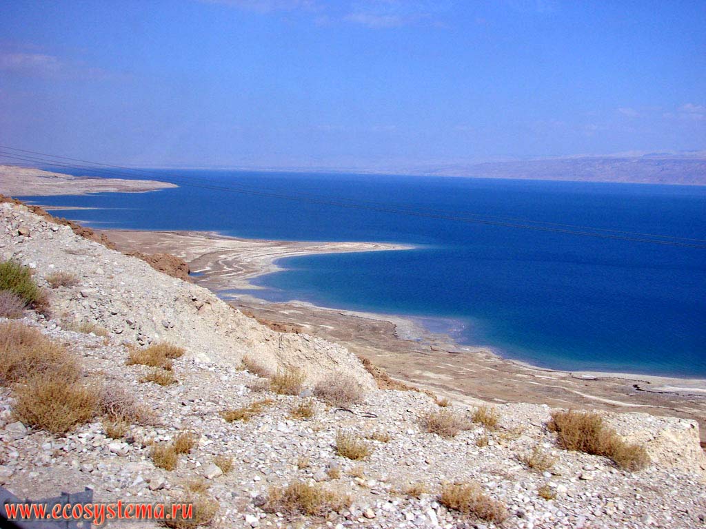 Побережье Мертвого моря (бессточного соленого озера), лежащего в бессточной впадине на глубине 400 м ниже уровня Мирового океана
на днище грабена Эль-Гор Аравийской рифтовой зоны. Азиатское Средиземноморье, или Левант, Мертвое море, Израиль
