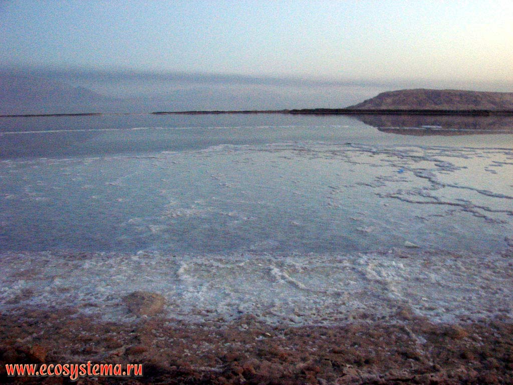 Sea salt sediments on the bank and in the water of the Dead Sea. The haze over the sea is a bromine reek (vapour).
Asian Mediterranean (Levant), Dead Sea area, Israel