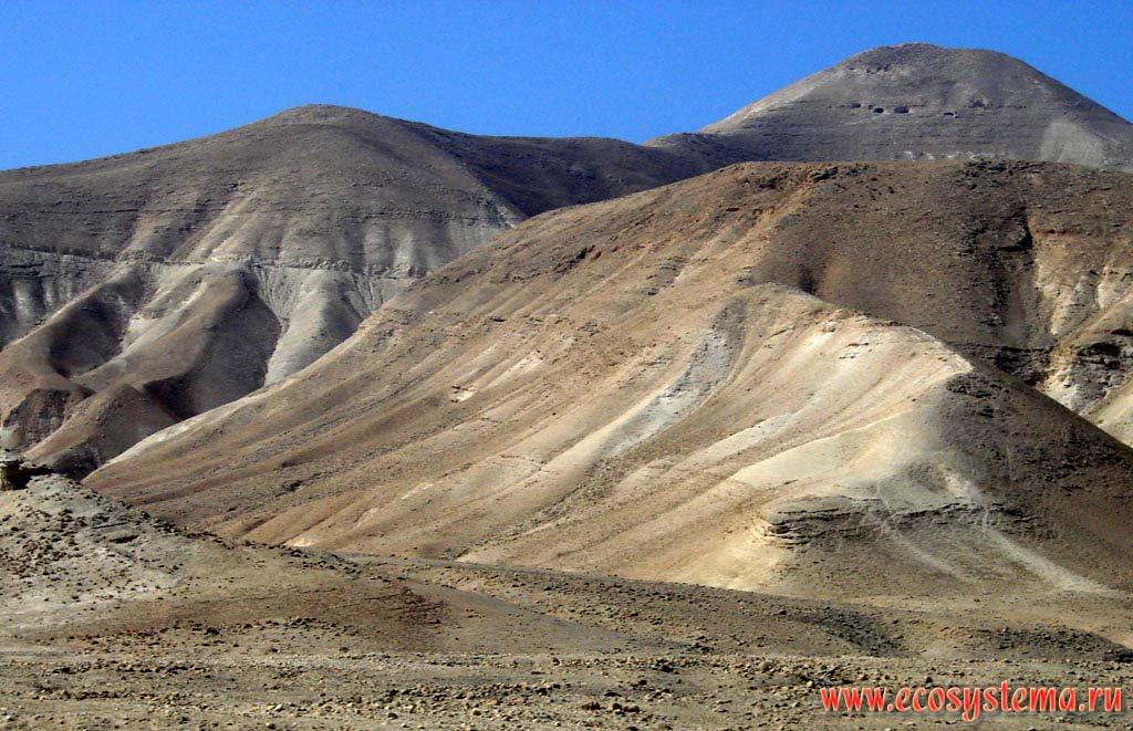 Каменистая пустыня в горах, окружающих Мертвое море. Азиатское Средиземноморье, или Левант, Мертвое море, Израиль