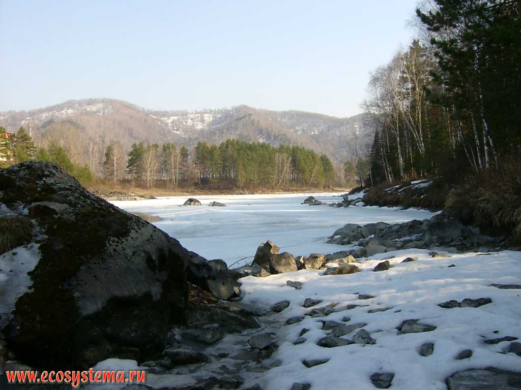 Русло реки Катуни перед ледоходом.
Недалеко от Горно-Алтайска. Высота - около 600 м н.у.м.