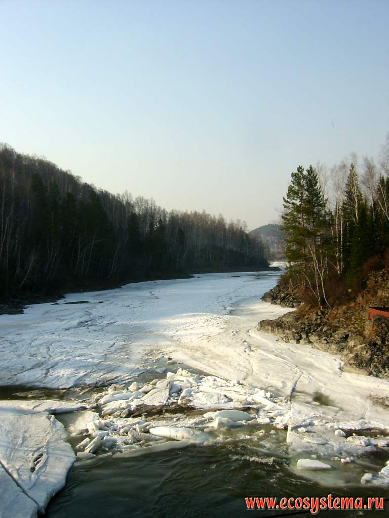 Затор льда на участке сужения русла между отрогами Семинского хребта.
Река Катунь недалеко от Горно-Алтайска. Высота - около 600 м н.у.м.