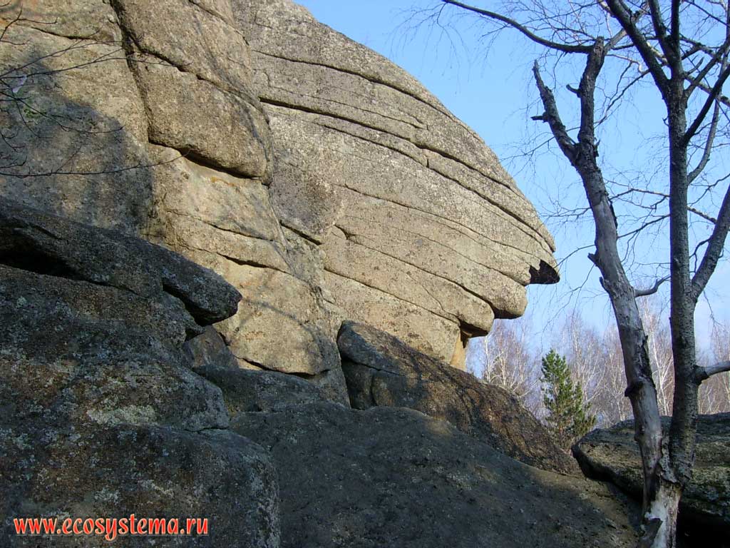 The Cerkovka Rock - the basalt outlier in the Altai (Altay) mountains - the result of water and wind erosion.
The Belokurikha mountain resort outskirts, 790 meters above sea level. Altai (Altay) mountains, Gorno-Altai (Altay) Republic