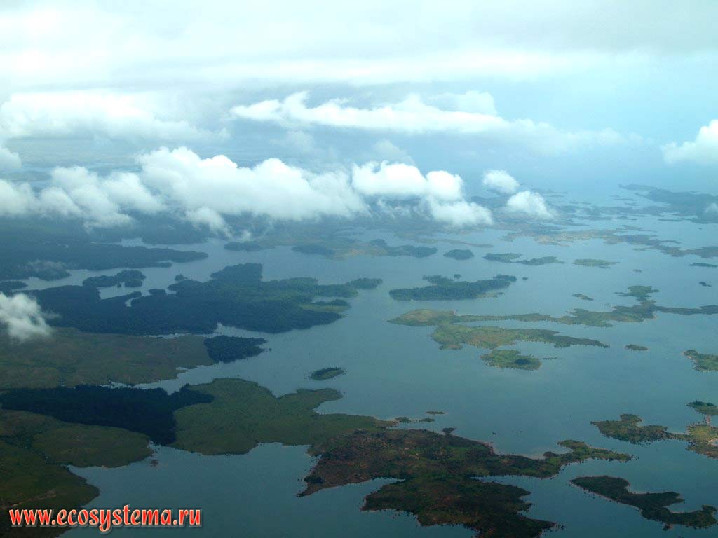 The lower Orinoco river near the mouth (delta) from the aircraft. Atlantic ocean, Venezuela
