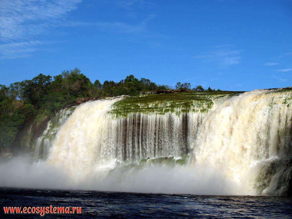 The Sapo, or Salto el Sapo (Frog, or Toad) waterfall on the Carrao River flowing down from the table mountain (mesa, or Tepui).
The rocks under the water are covered with green algae. The Canaima Lagoon, Guiana Highlands, Canaima National park, Bolivar State, Venezuela
