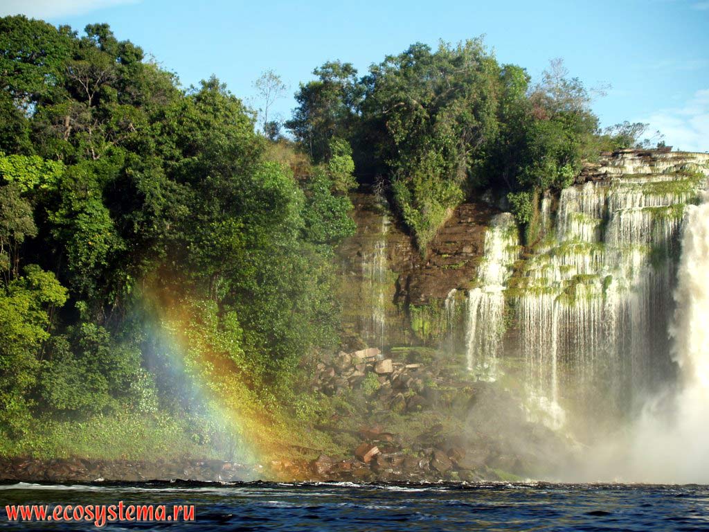 The rainbow over the Sapo, or Salto el Sapo (Frog, or Toad) waterfall on the Carrao River flowing down from the table mountain (mesa, or Tepui).
The rocks under the water are covered with green algae. The Canaima Lagoon, humid tropical forest zone, Guiana Highlands, Canaima National park, Bolivar State, Venezuela