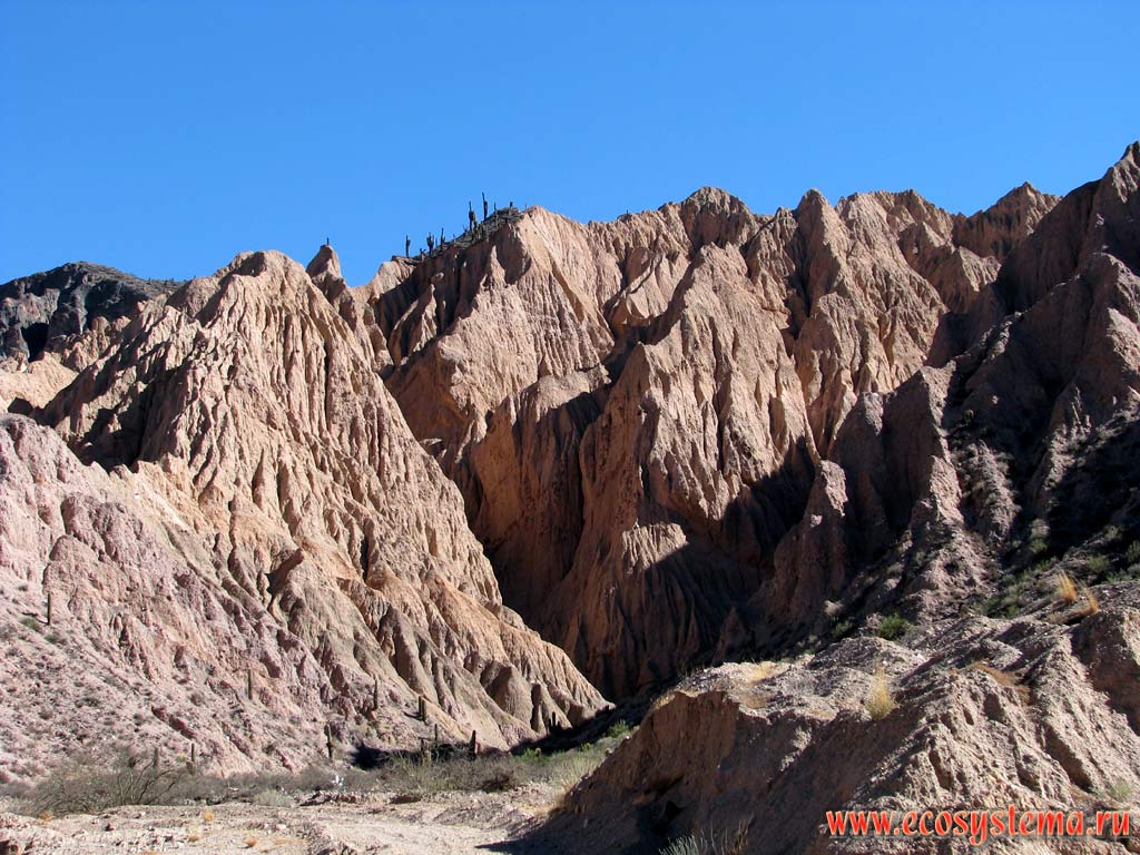 Column mountains - the result of the water and wind erosion (atmogenic process). Eastern slope of the Andes Highlands.
Altitude is about 1200 m above sea level. Precordillera, Jujuy Province, Northwest Argentina not far from the Bolivia border