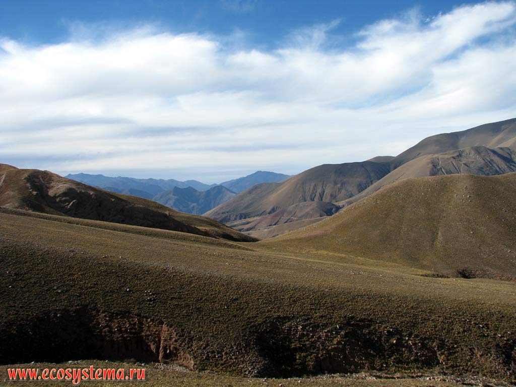 Сухая пуна, или альтиплано - ландшафтный комплекс каменистых высокогорных пустынь (холодных пустынь на вершинах) и полупустынных сухих степей.
Высота - около 3200 метров над уровнем моря. Восточные склоны Андийского плоскогорья. Прекордильеры, провинция Сальта (северо-запад Аргентины недалеко от границы с Боливией)