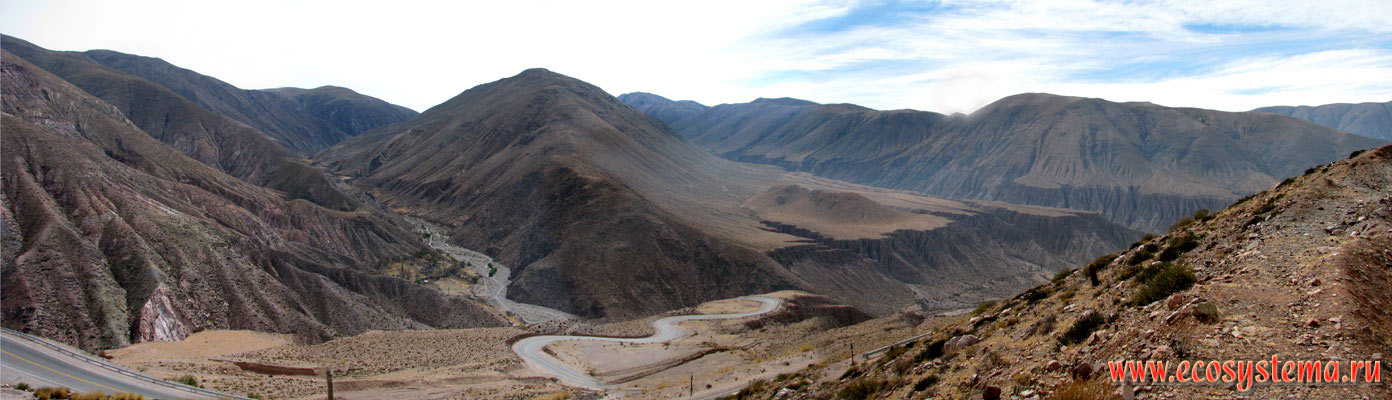 Панорама сухой пуны, или альтиплано - ландшафтного комплекса каменистых высокогорных пустынь (холодных пустынь на вершинах) и полупустынных сухих степей.
Восточные склоны Андийского плоскогорья. Прекордильеры, провинция Жужуй, граница Аргентины, Боливии и Чили (3500 м над уровнем моря)