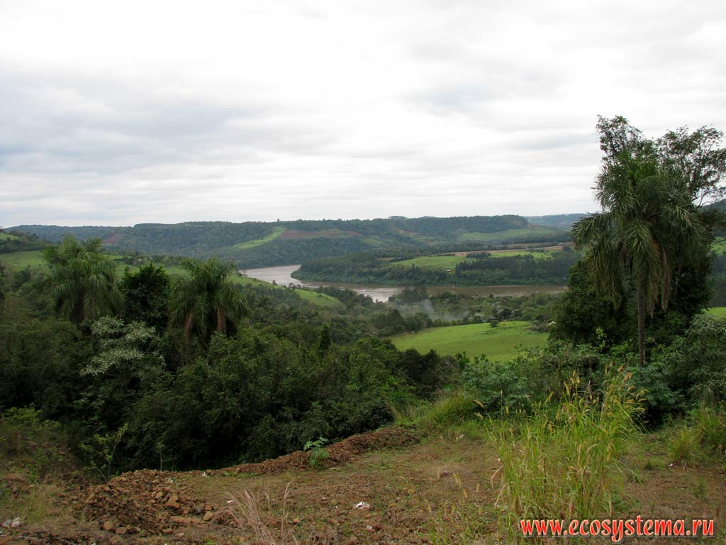 Agricultural landscape in the Mocona river valley (Parana river basin).
South of Brazilian Highlands, Misiones province, Argentina