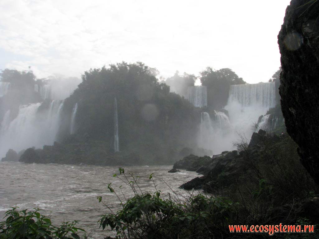 The Iguazu Falls - one of the largest cascade-type waterfalls in the world.
The Iguazu river falling from the edge of the Brazilian plateau. Iguazu National Park, the border between Argentina and Brazil