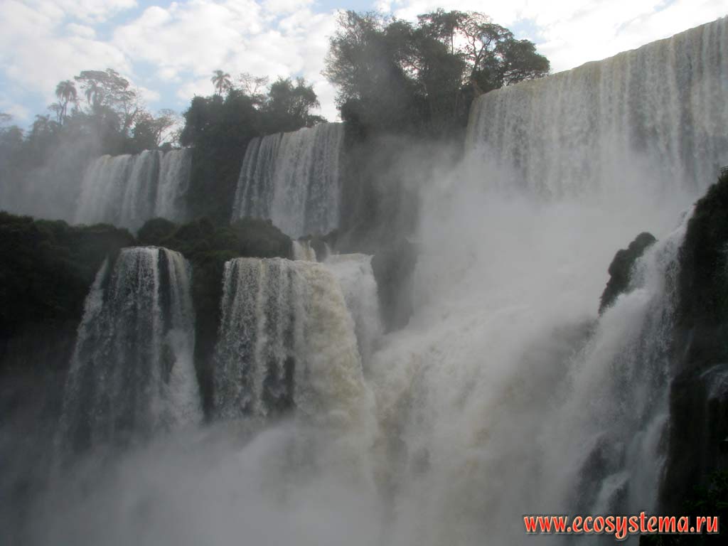 Верхние каскады водопада Игуасу на кромке плато Парана - одного из крупнейших водопадов мира.
Национальный парк Игуасу, граница Бразилии и Аргентины