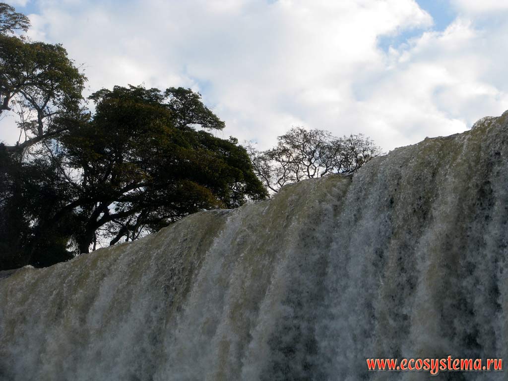 Верхняя кромка водопада Игуасу. Национальный парк Игуасу, граница Бразилии и Аргентины
