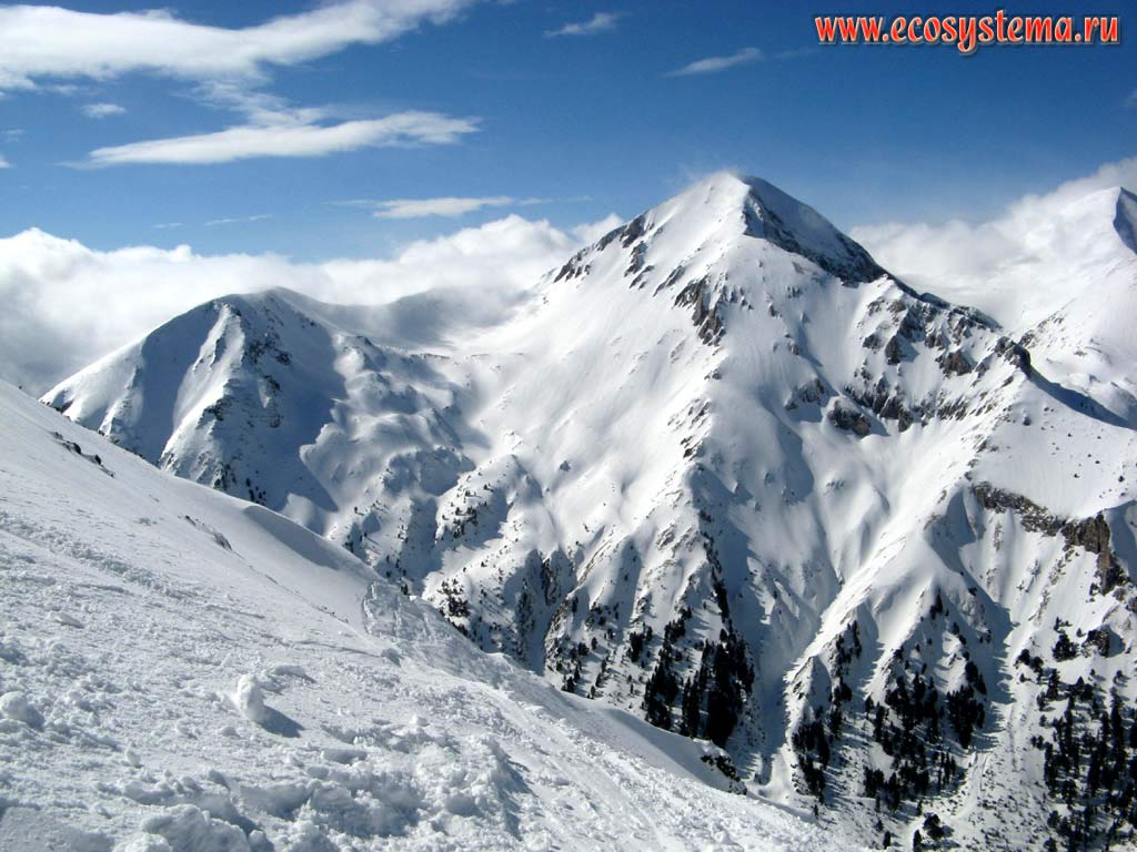 Альпийский пояс на склонах горы Вихрен (высота вершины - 2914 м). Южная Болгария, горная система Западные Родопы, горы Пирин