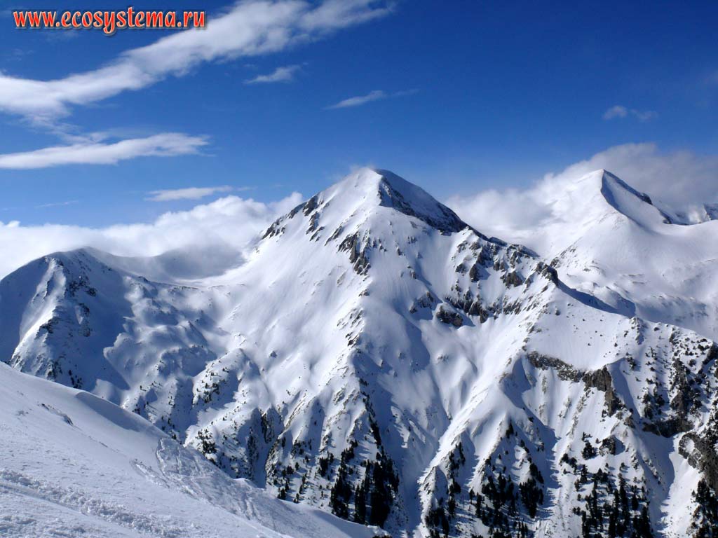 Alpine (high altitude) zone on the Vihren Peak slope (mountain height is 2914 meters). Southern Bulgaria, Pirin Mountains