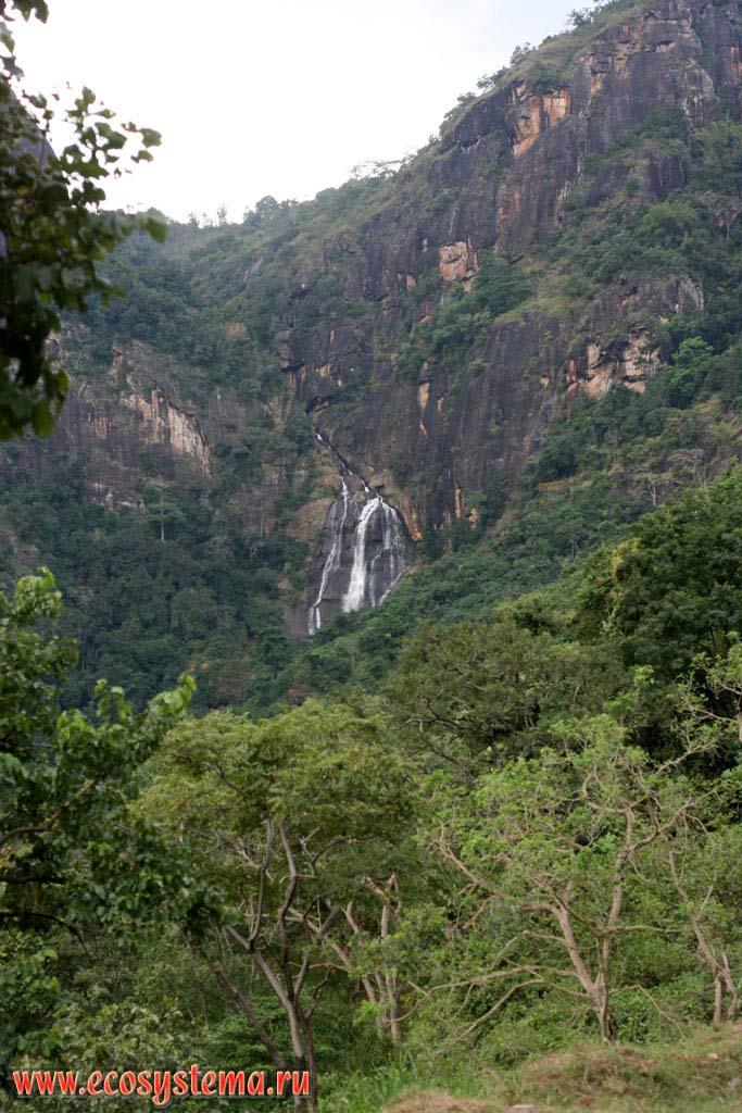 Водопад в горах Центрального массива (юг острова), покрытых влажными тропическими лесами
субэкваториального пояса. Остров Шри-Ланка, Центральная провинция, окрестности города Канди (Kandy)
