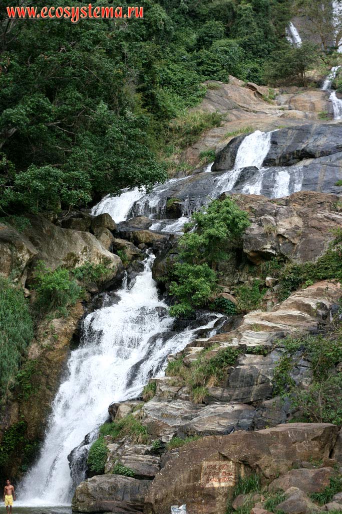 Waterfall in the Central Massif mountains, surrounded by humid tropical subequatorial forest.
Sri Lanka Island, Central Province, Kandy area