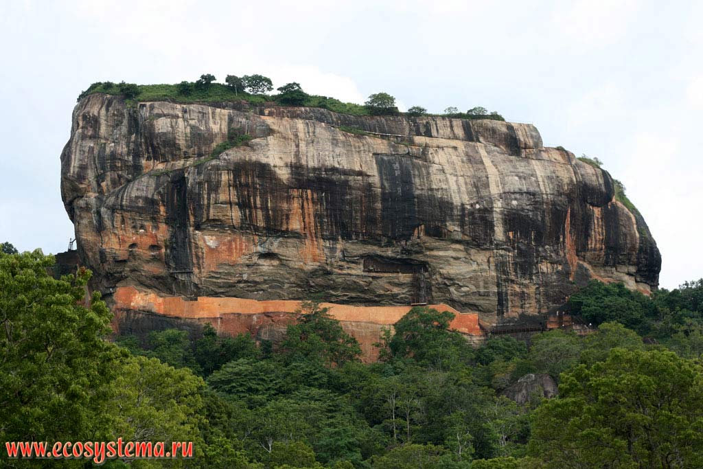 Сигирия («Львиная скала») — скальное плато (останец). Высота 370 м над окружающей местностью.
Остров Шри-Ланка, Центральная провинция, округ Матале (Матала, Matala)
