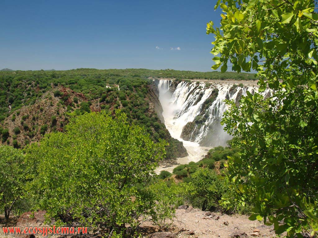 Водопад Руакана (Ruacana Falls) на реке Кунене (Kunene River) в окружении вторичных ксерофитных тропических саванновых редколесий.
Граница Анголы и Намибии, провинция Кунене. Южно-Африканское плоскогорье, южная Ангола