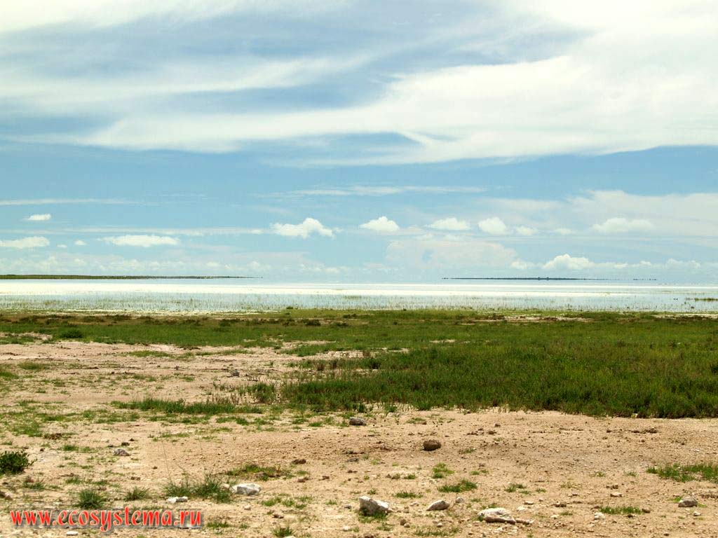 Соленое озеро (солончак) в бессточной впадине на высоте 1065 м над уровнем моря.
Национальный парк Этоша, или Этоша-Пан (Etosha, Etoshа Pan). Южно-Африканское плоскогорье, северная Намибия