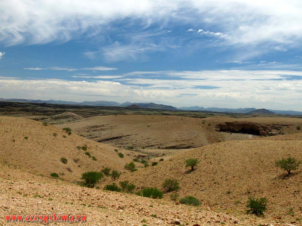Каменистая пустыня. Восточный край пустыни Намиб. Южно-Африканское плоскогорье, центральная Намибия