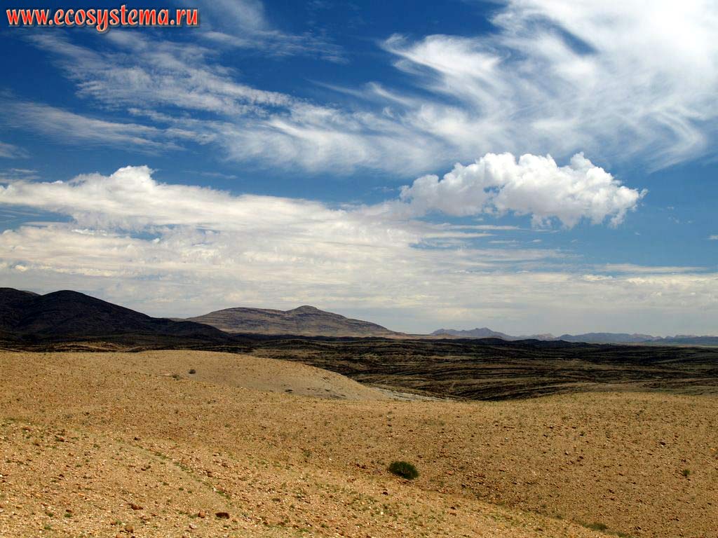 Каменистая пустыня. Восточный край пустыни Намиб. Южно-Африканское плоскогорье, центральная Намибия