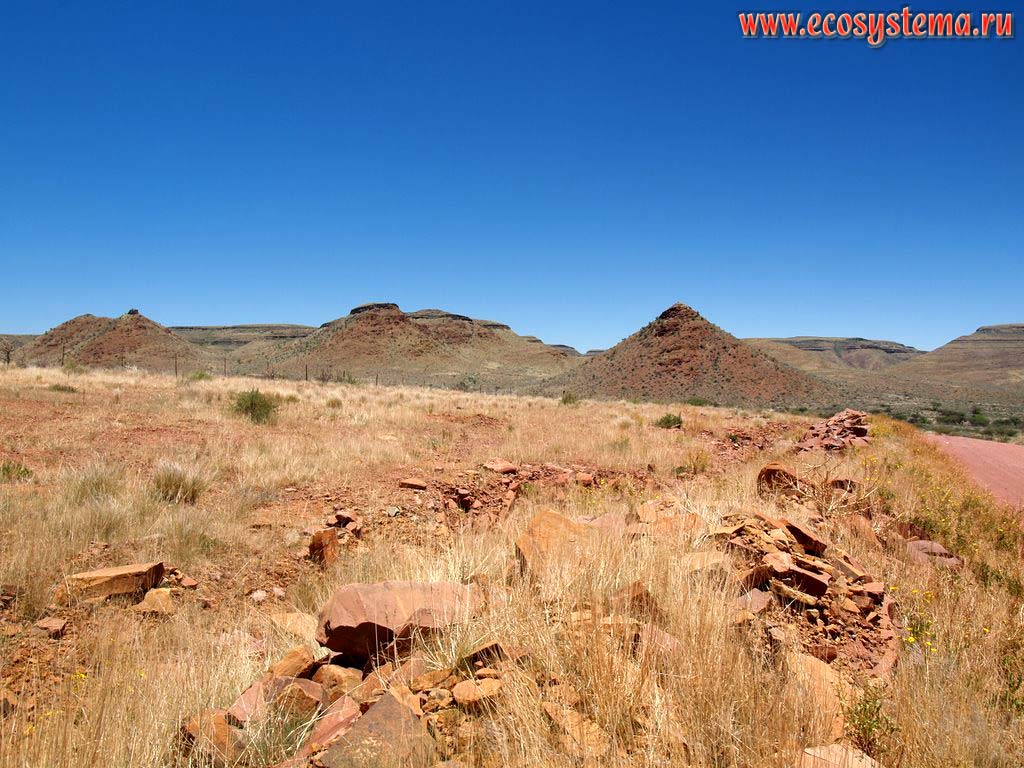 Каменистая полупустыня, покрытая ксерофитной растительностью в окрестностях каньона Сесрием (Sesriem Canyon). Национальный парк
Намиб-Науклюфт (Namib-Naukluft National Park), Южно-Африканское плоскогорье, центральная Намибия
