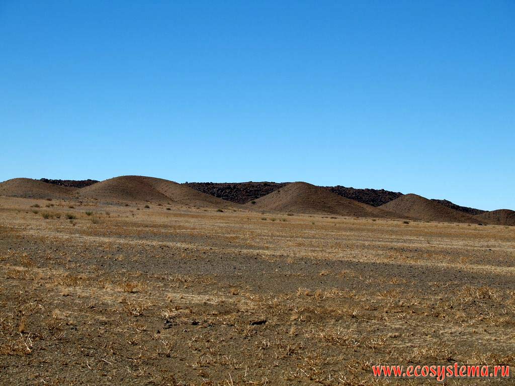 Каменистая полупустыня в районе Нордовер (Noordoewer) на крайнем юге Намибии (на границе с ЮАР).
Южно-Африканское плоскогорье, южная Африка