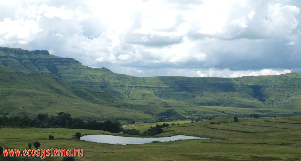 Mountain sub alpine meadows on the eastern slopes of Drakensberg Mountains. South African Plateau, South African Republic, Sani Pass (near the border with Lesoto)