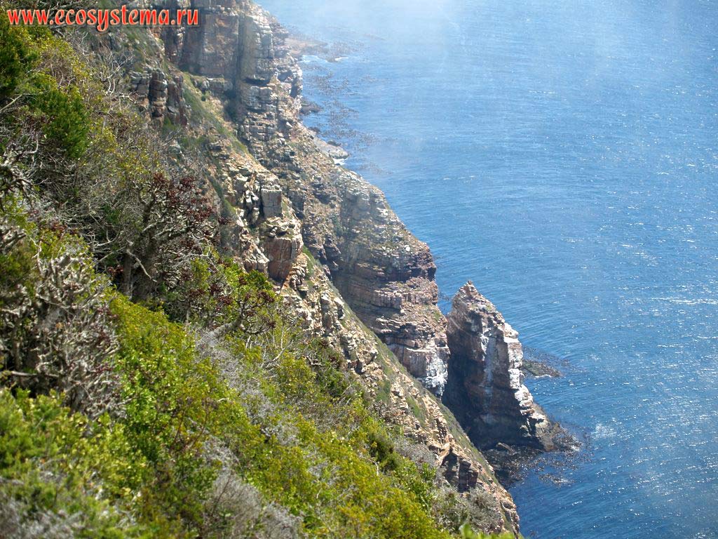 Скалы и эрозионный берег в полосе прибоя Атлантического океана. Южная Африка, Капские горы, южное побережье ЮАР