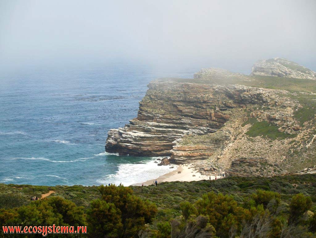 Coastal cliffs and erosive shore in the surf zone of the Atlantic Ocean. The western part of the Cape Fold Belt Mountains, South coast of South African Republic