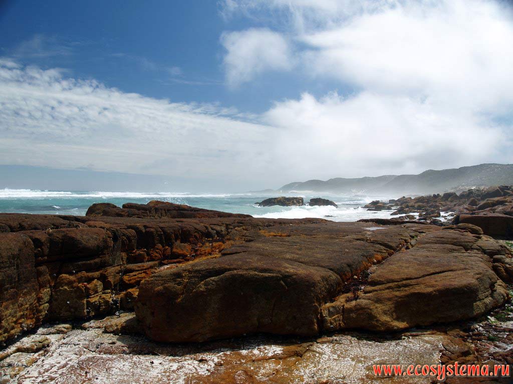 The Atlantic Ocean shore with the spray of the sea droplets on the Cape of Good Hope. South coast of South African Republic